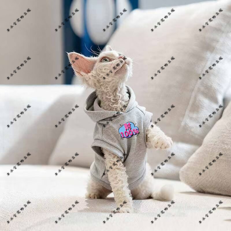 财100%新款德文猫连帽卫衣宠物衣服萌宠秋季