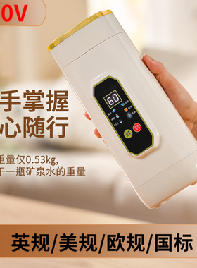 多功能烧水杯户外旅行便携插电式