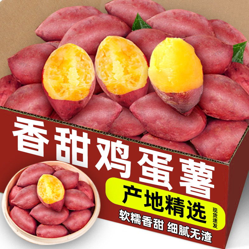 甜鸡蛋薯新鲜小香薯天目