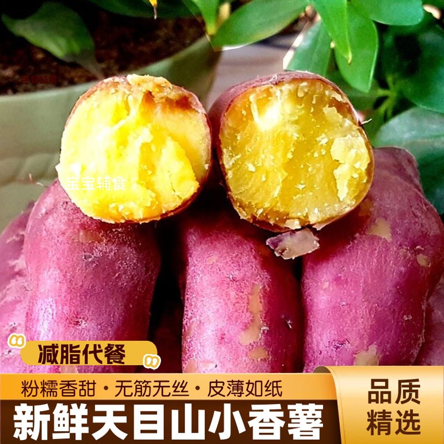 天目山小香薯新鲜板栗红