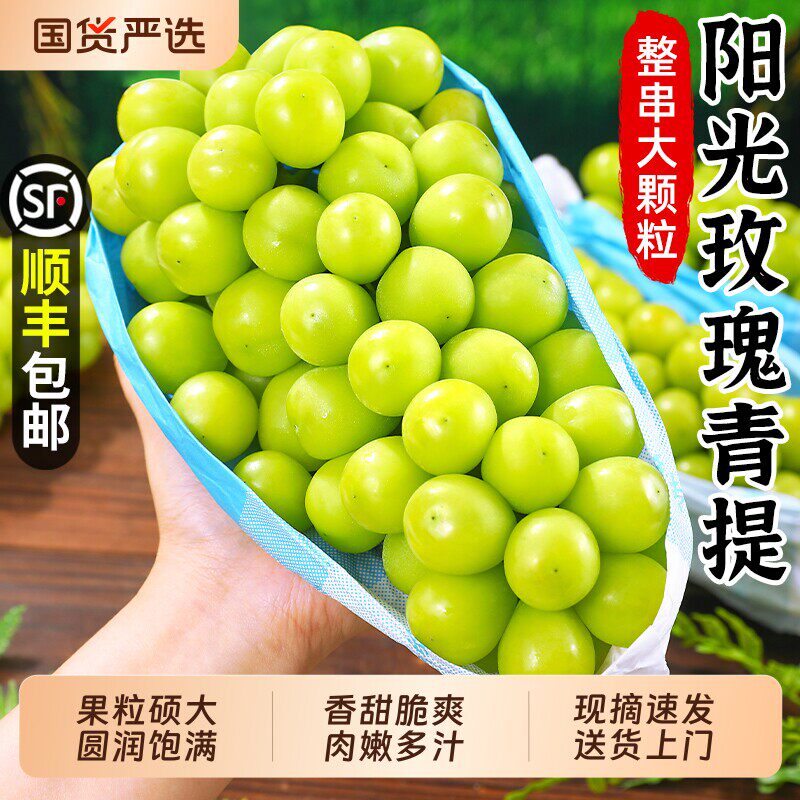 阳光玫瑰葡萄新鲜水果晴