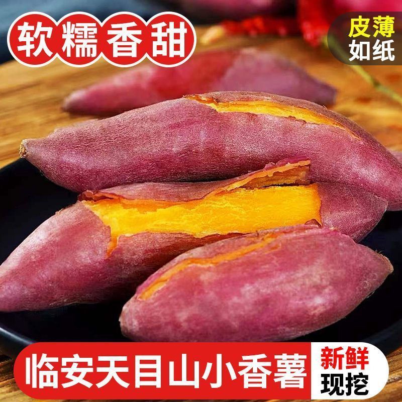 正宗天目山小香薯临安手