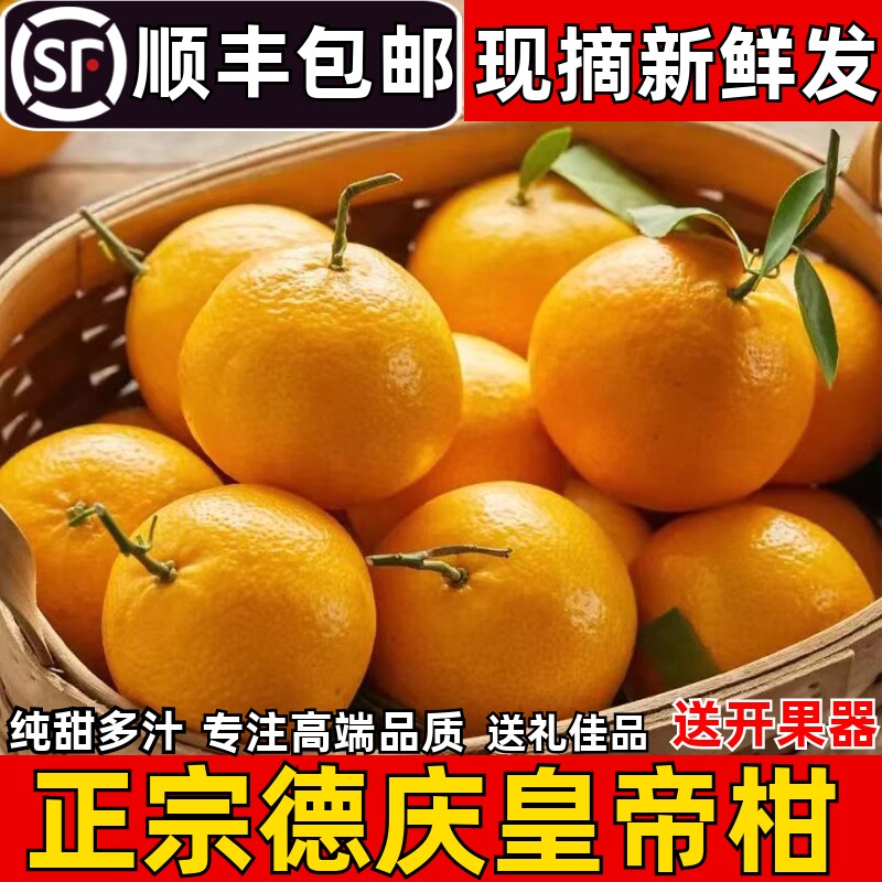 正宗德庆皇帝柑新鲜水果贡柑孕妇应季现摘橘桔子水果整箱10斤包邮