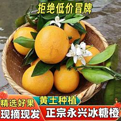 正宗湖南郴州永兴冰糖橙大果新鲜水果当季礼盒旗舰店包邮麻阳黔阳
