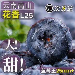 云南花香蓝莓鲜果枝高山新鲜水果特大果冠l25一斤当季 佳怡颗沃1箱