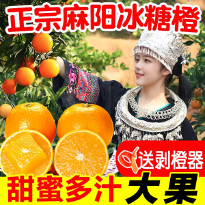 一级大果正宗麻阳冰糖橙10斤包邮新鲜水果橙子当季整箱手剥甜橙