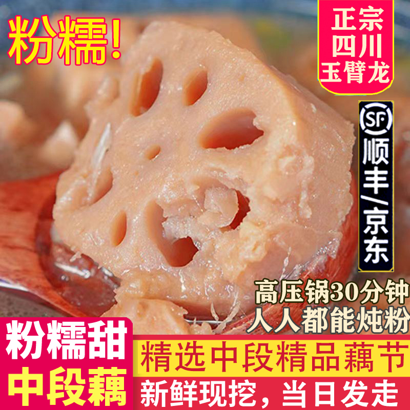 正宗四川农家当季新鲜超粉莲藕糯米面藕煲煨炖汤九七孔粉藕现挖