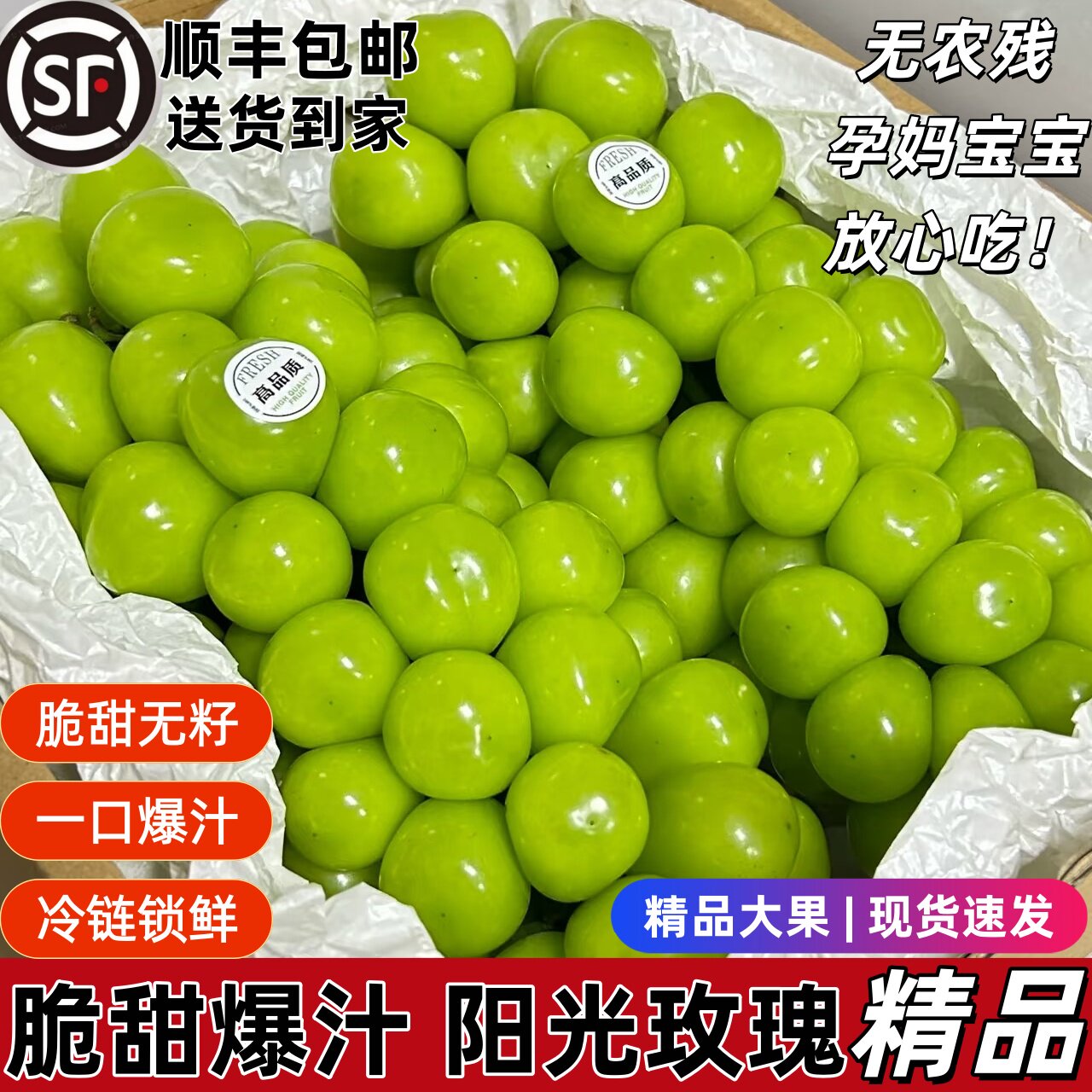 阳光玫瑰葡萄青提新鲜水