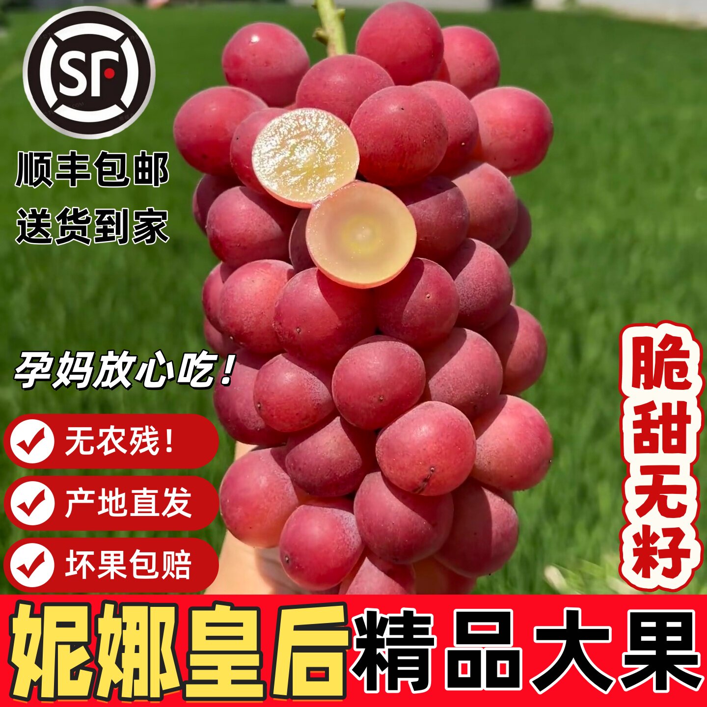 正宗妮娜皇后葡萄新鲜无