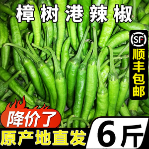 精品正宗湖南樟树港辣椒现摘新鲜薄皮嫩青线椒农家特产自种下饭菜