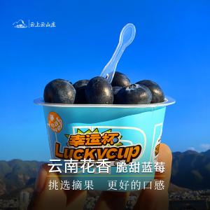 当季云南高山花香蓝莓鲜果脆甜新鲜纯甜特大果小杯装礼盒luckycup