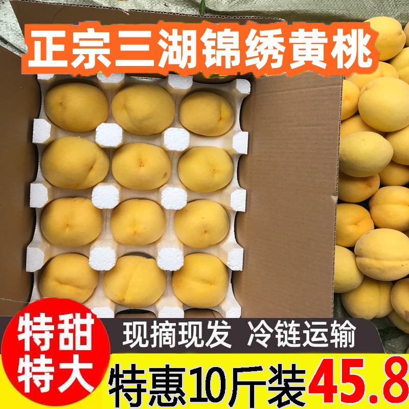 湖北三湖黄桃10斤新鲜当季应季