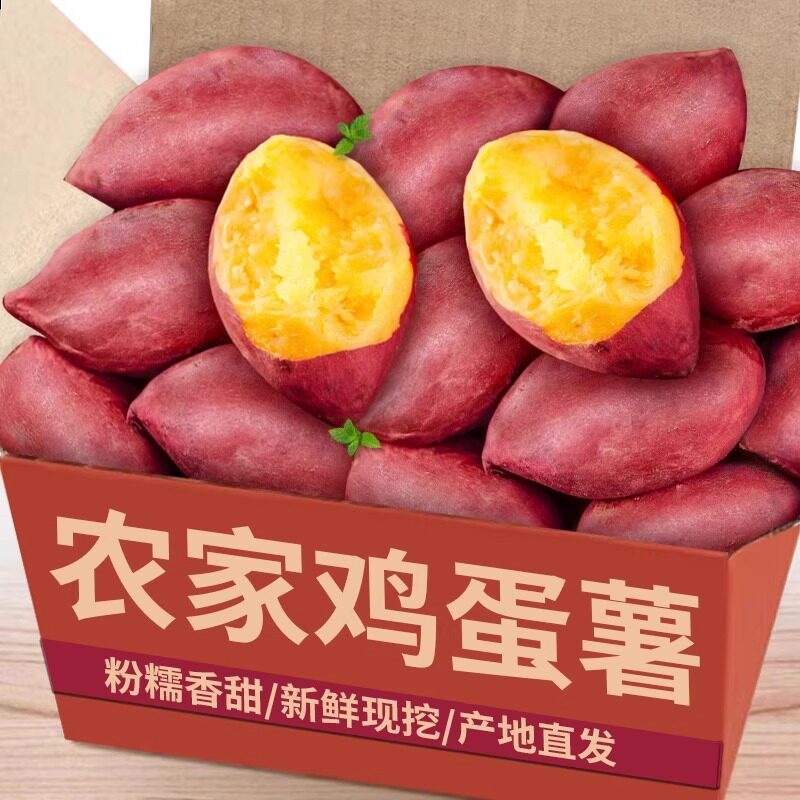 新鲜天目山鸡蛋薯红板栗