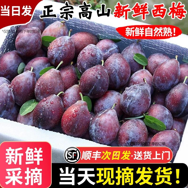 现货西梅新鲜正宗蓝蜜法