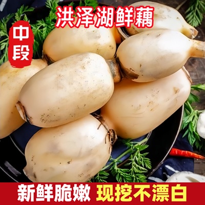 莲藕新鲜洪泽湖特产嫩藕脆藕生吃炒藕非藕带凉拌自家种植现挖现发