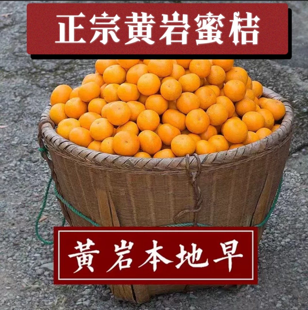 正宗黄岩蜜桔黄岩本地早农产品水果非涌泉桔子新鲜薄皮多汁10礼盒