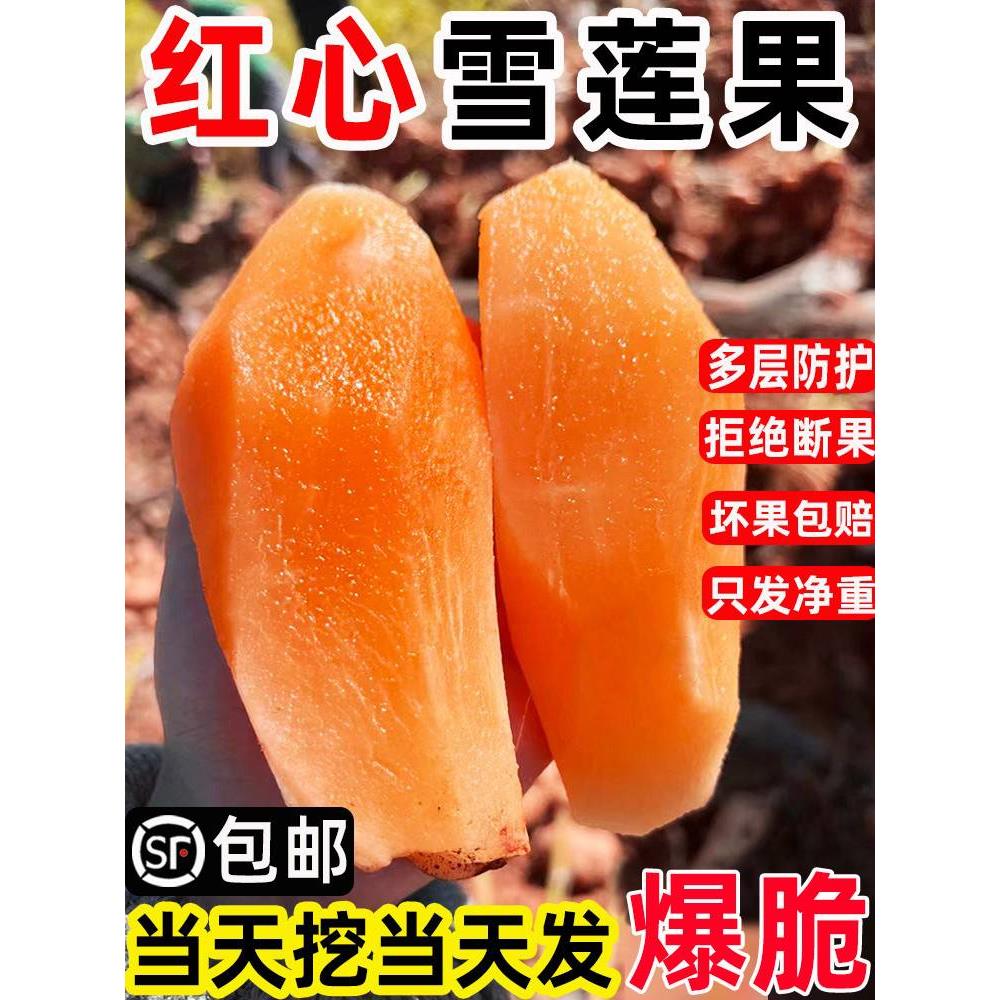 天山雪莲果特大果新鲜9斤