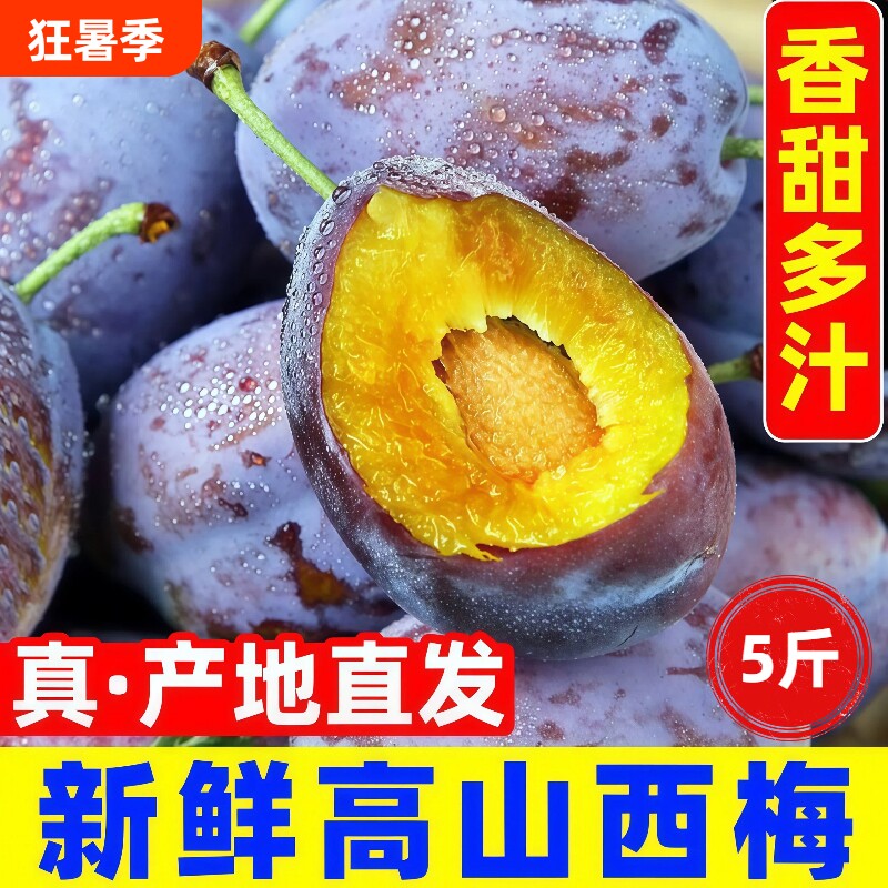 正宗西梅5斤新鲜当季水果