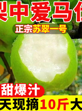 正宗大沙河苏翠一号梨砀山新鲜水果梨子现摘酥脆翠冠皇冠青梨蜜梨