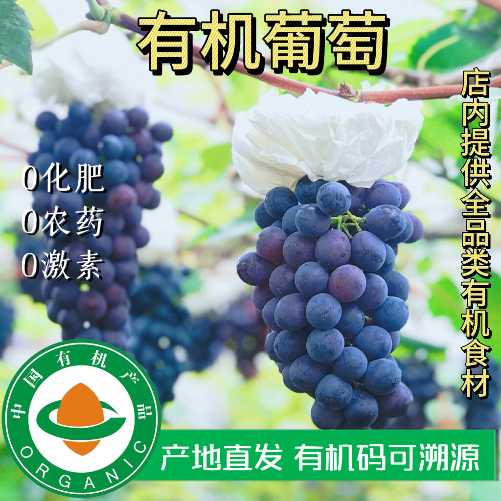 有机葡萄夏黑巨峰认证码