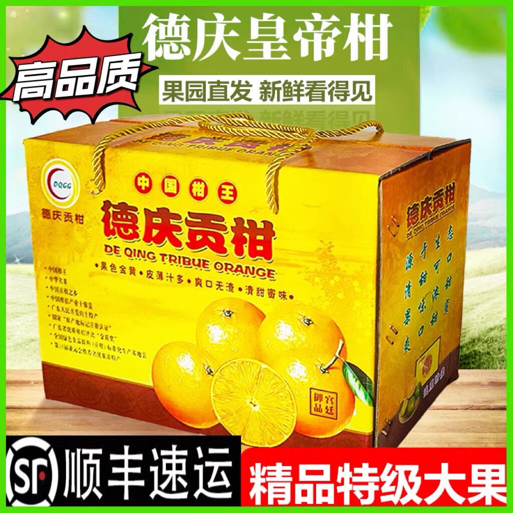 正宗德庆皇帝柑精选特级大果10斤新鲜水果德庆贡柑现摘桔子礼盒装