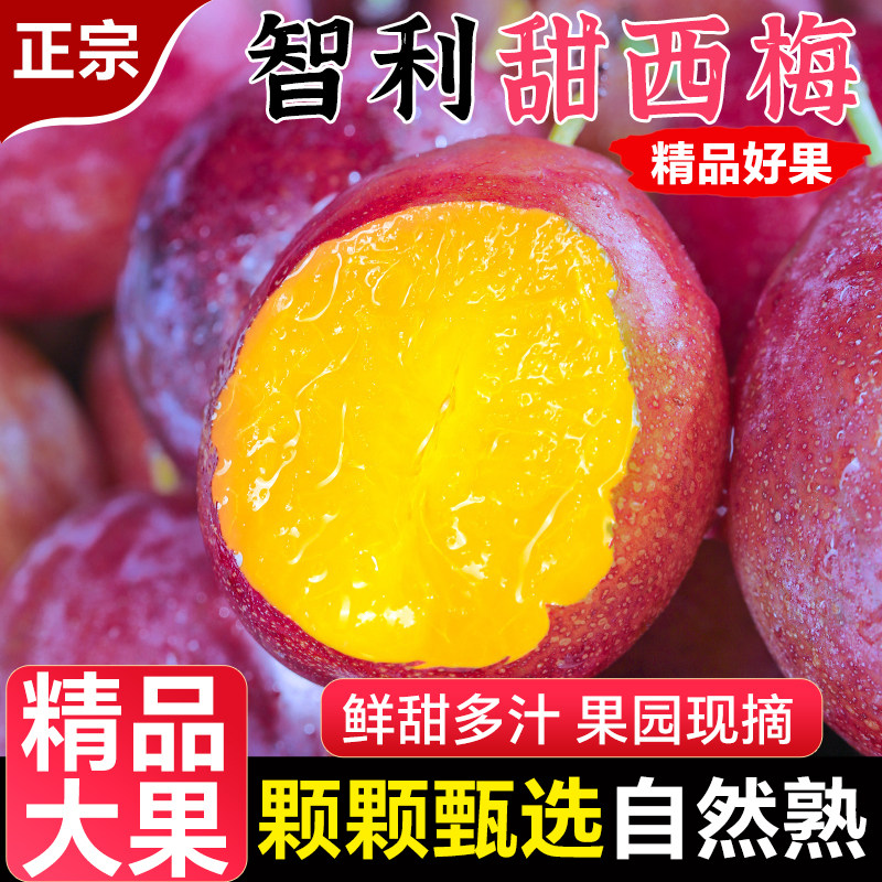 正宗智利西梅新鲜水果4斤