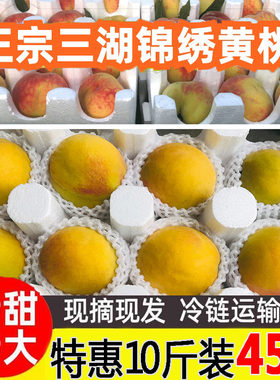 三湖黄桃当季10斤应季新鲜