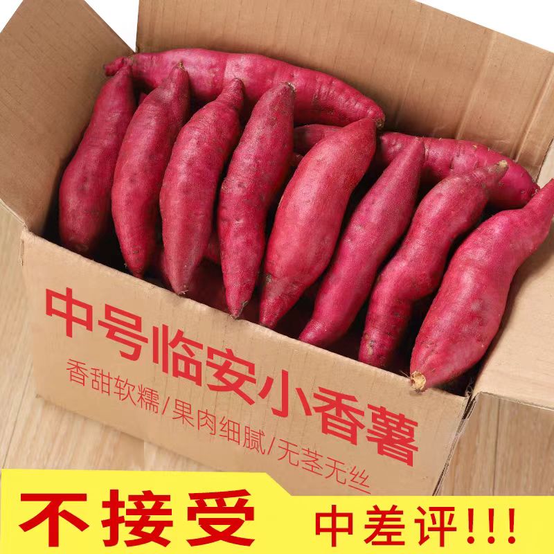 天目山小香薯旗舰店新鲜
