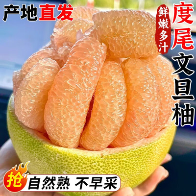 正宗莆田仙游度尾文旦柚10斤当应季孕妇新鲜有孔好果(袋装)老树