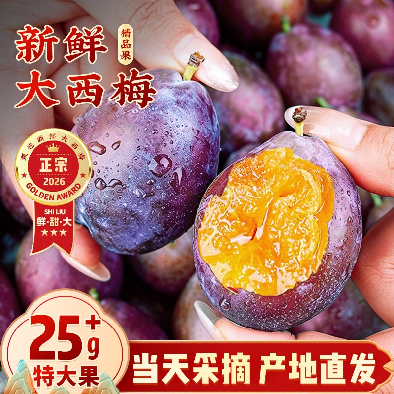 西梅鲜果5斤新鲜水果当季