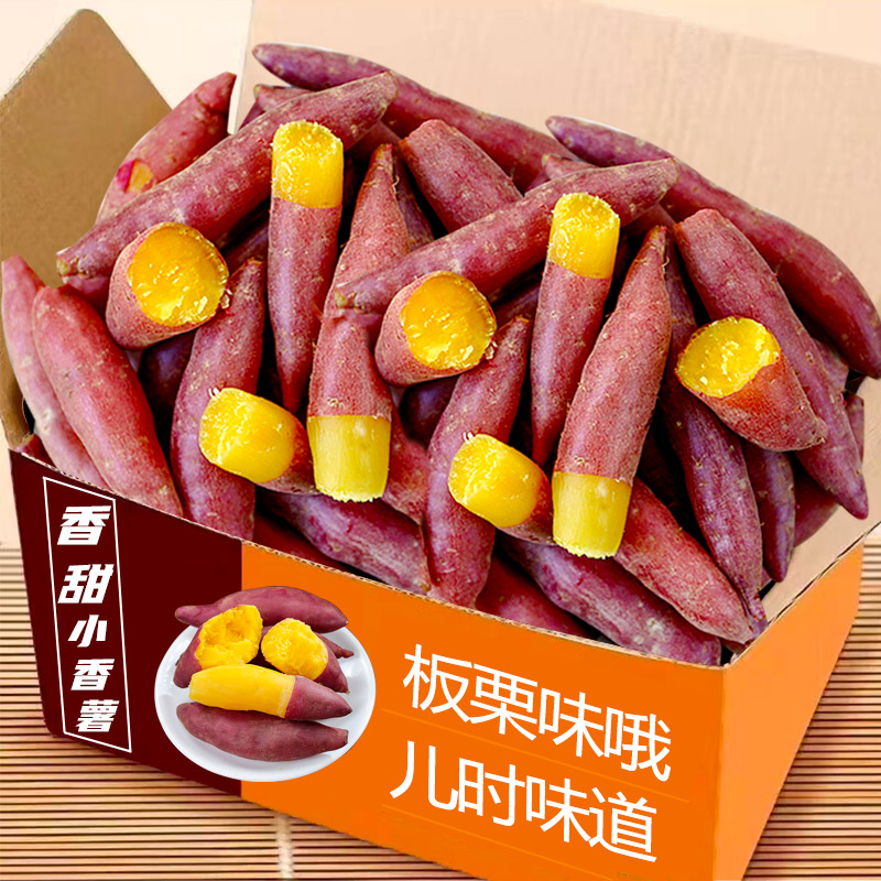 海南小香薯5斤板栗味小红