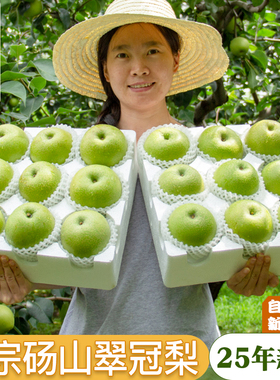顺丰砀山梨翠冠梨水果翠玉梨5梨子新鲜10斤汤山脆冠青梨酥脆安徽