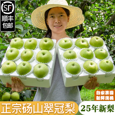顺丰砀山梨翠冠梨水果翠玉梨5梨子新鲜10斤汤山脆冠青梨酥脆安徽