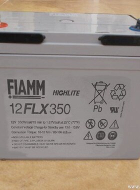 PLAMM蓄电池12FLX350 电动车/轨道车/设备转运车动力电瓶12V350W