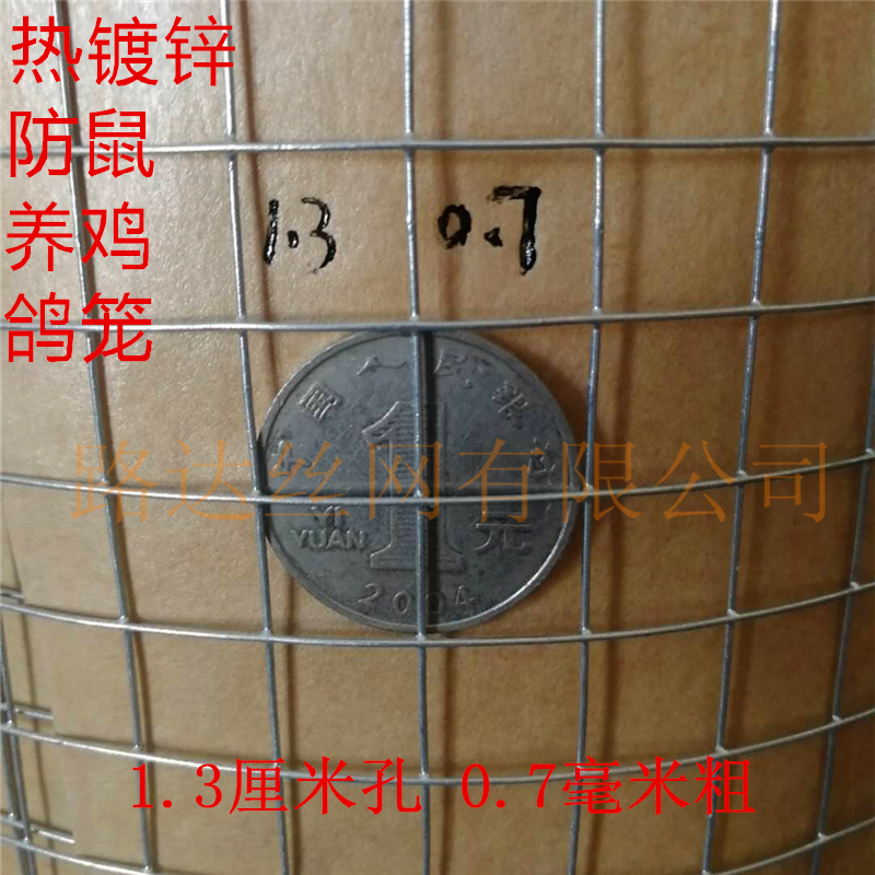 镀锌铁丝网格小孔钢丝网养鸡鸭鹅C苗网床铁网鸽笼养蛇家用养殖围
