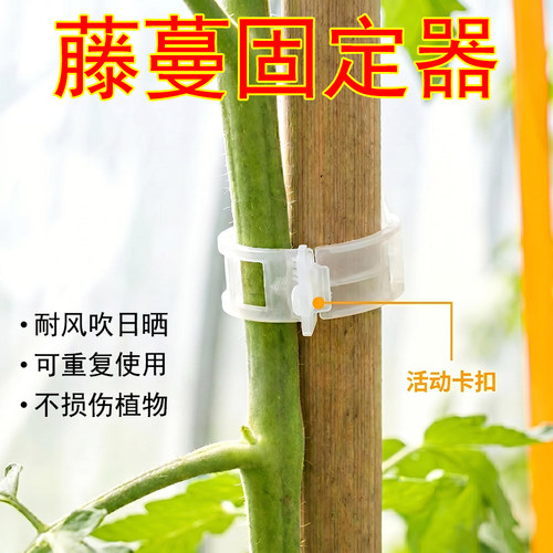 银尚银藤蔓固定器可重复使用