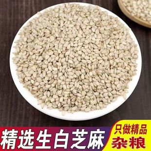 带皮白芝麻生的2025年新货优质农家白芝麻脱皮芝麻粒无杂质免洗