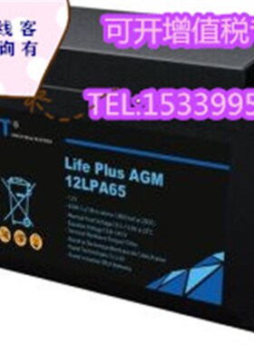 法国路盛RUZET蓄电池12LPA75胶体型12V75AH通讯机房/UPS电源/风能