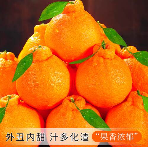 四川不知火丑橘应当季水果柑橘丑橘包邮新鲜水果丑橘酸蜜橘甜多汁