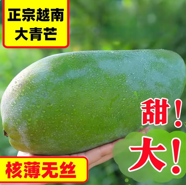 芒果大青芒新鲜5/9斤应季时令现摘孕妇水果青皮金煌水仙芒果香甜