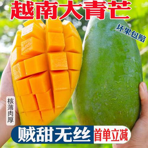 芒果大青芒新鲜5/9斤应季时令现摘孕妇水果青皮金煌水仙芒果香甜