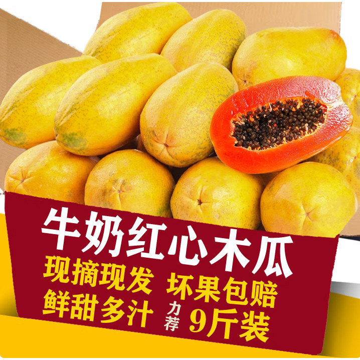 5斤广西红心木瓜 新鲜水果9斤新鲜当季青木瓜牛奶冰糖心现摘现发