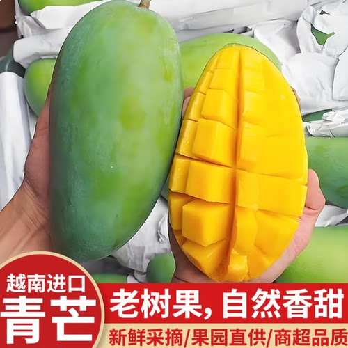 芒果大青芒新鲜5/9斤应季时令现摘孕妇水果青皮金煌水仙芒果香甜