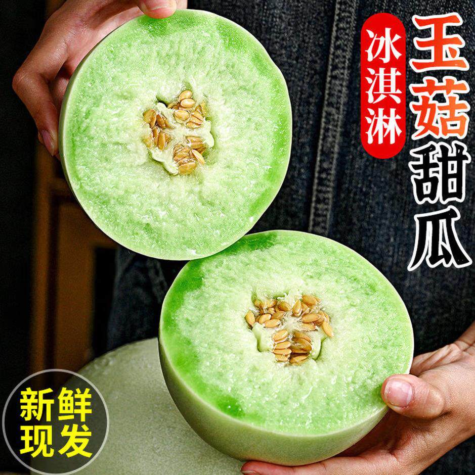 山东玉菇甜瓜冰淇淋玉菇软糯香甜蜜瓜新鲜水果甜密香瓜冰淇淋口感