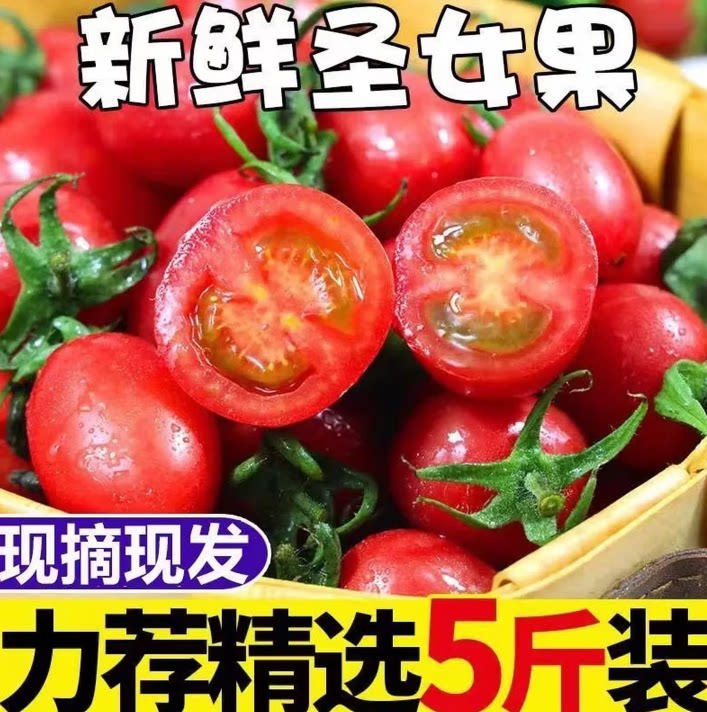 广西直发新鲜圣女果5斤装包邮