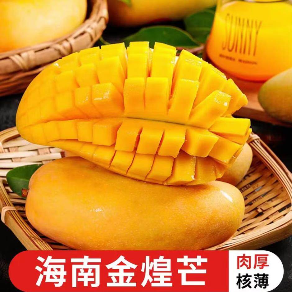 海南金煌芒产应季水果香甜软糯多汁树上熟地直发新鲜水果芒果包邮