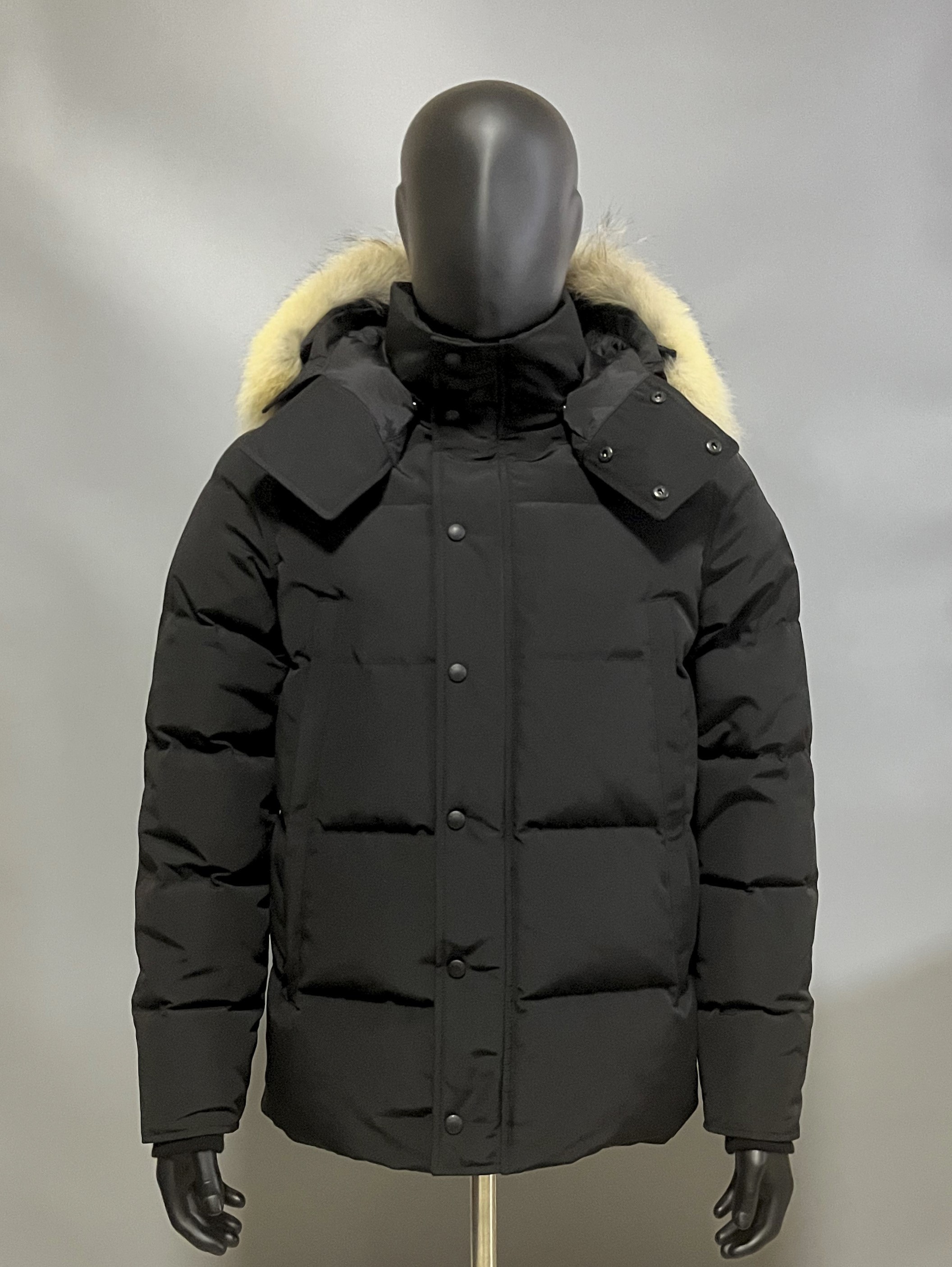 Canada Goose BEST QUALITY (TOP GOOSEY)