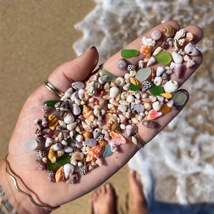 天然真贝壳海螺迷你小贝壳装 饰品手工diy贝壳相框收纳盒鱼缸造景