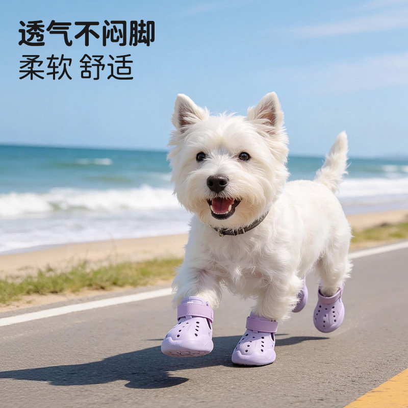 宠物狗狗洞洞鞋夏季凉鞋金毛泰迪耐磨透气软底甩不掉防脏脚狗狗鞋