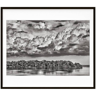 Salgado. Amazonia. No.301–400 塞巴斯蒂安·萨尔加多：亚马逊 Sebastiao 限量艺术版 收藏画册赠书架与挂画英文原版 预订